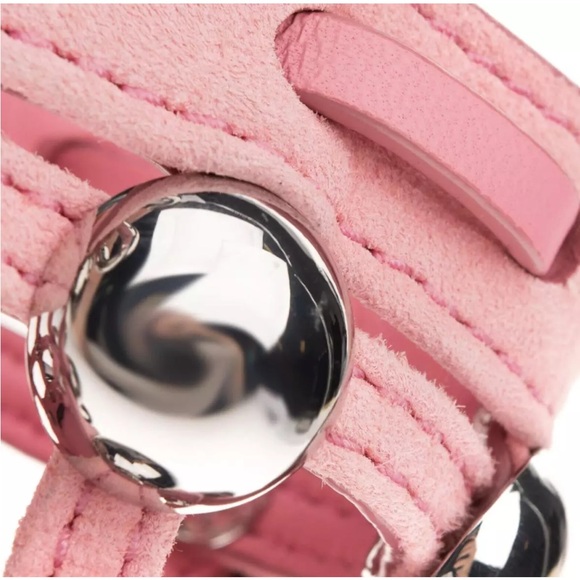 ALEXANDER WANG MINI ROXY Bag CAGED SUEDE KEYCHAIN PINK NWT $600 # 1 - Picture 15 of 16